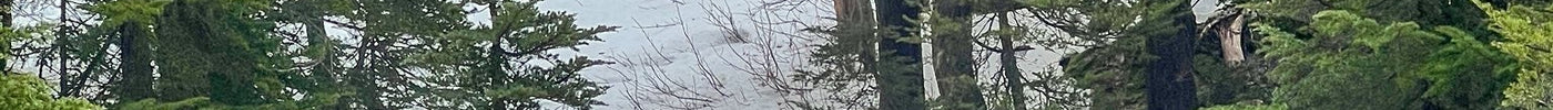 Best Winter Hikes in British Columbia: Top Trails, Gear Tips & Safety Advice for 2025