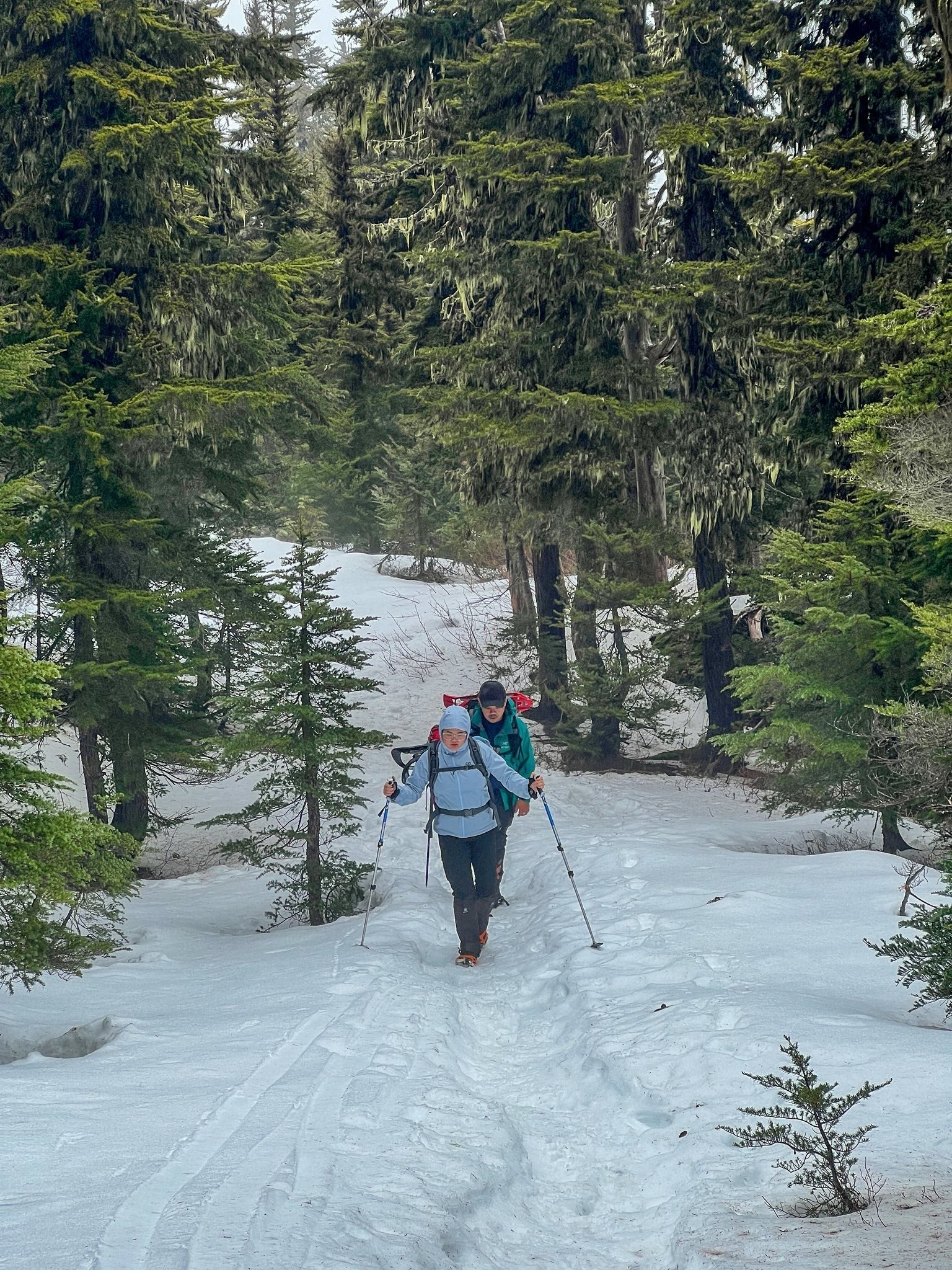 Best Winter Hikes in British Columbia: Top Trails, Gear Tips & Safety Advice for 2025