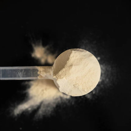Näak - Protein Powder - Vanilla - 500g